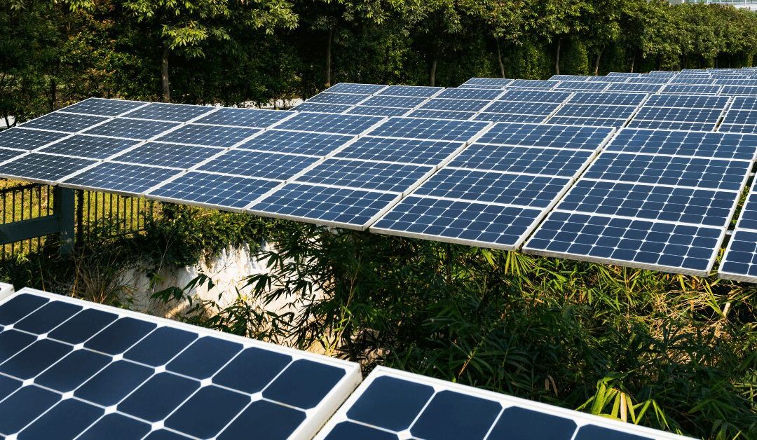 Why Companies Are Choosing Commercial Solar For Their Business