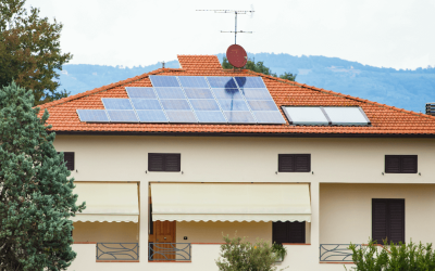 Solar Energy: What Is The Importance Of A Viability Study?